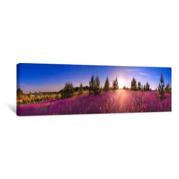 Image of Summer Landscape With The Blossoming Meadow, Sunrise Panorama Canvas Print