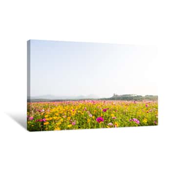 Image of Cosmos Flower Field On Mountain Canvas Print