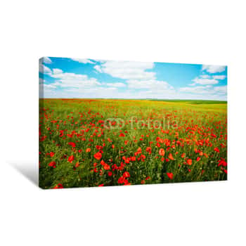 Image of Captivating Scene Of The Countryside With White Fluffy Clouds Canvas Print