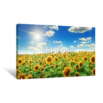 Image of Sunflowers And Sun On Cloudy Sky Canvas Print