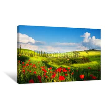 Image of Art Italy Countryside Landscape With Red Poppy Flowers And Cypress Trees On The  Mountain Path Canvas Print