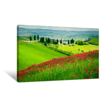 Image of Hill And Cypresses Canvas Print