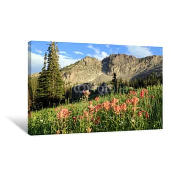 Image of Wildflowers At Alta, Utah, USA Canvas Print