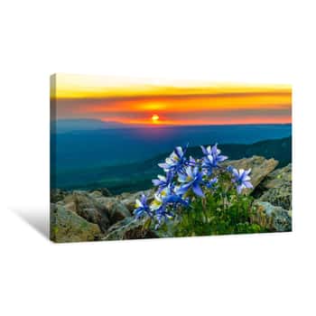 Image of Flowers At Sunset Canvas Print