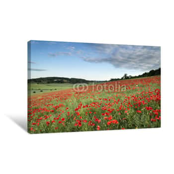 Image of Stunning Poppy Field Landscape At Sunset On South Downs Canvas Print
