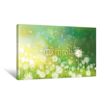 Image of Vector Of Spring Background With White Dandelions Canvas Print