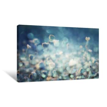 Image of Floral Reflections Canvas Print