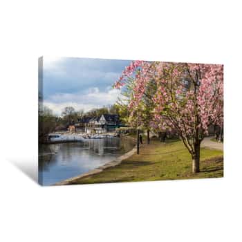 Image of Cherry Blossoms In Bloom, Boathouse Row, Philadelphia, Pa Canvas Print