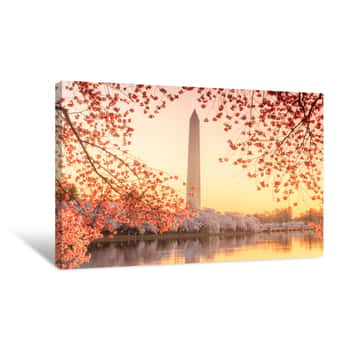 Image of The Jefferson Memorial During The Cherry Blossom Festival Canvas Print