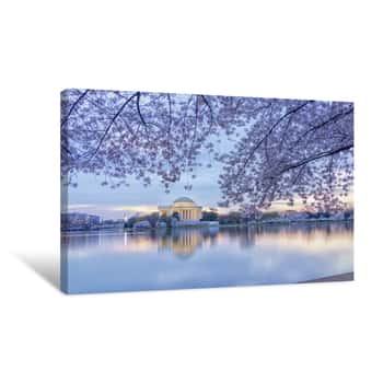 Image of Cherry Blossom Washington Dc Canvas Print