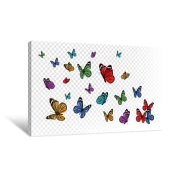 Image of Flying Butterflies  Colorful Butterfly Isolated On Transparent Background  Spring And Summer Insects Vector Illustration  Butterfly Summer And Spring Insect, Flying Animal Canvas Print