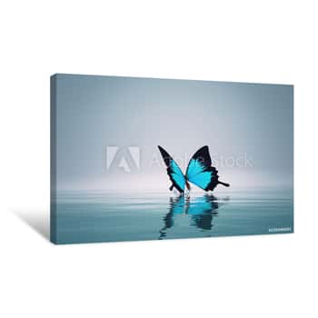 Image of A Blue Butterfly On Sea Canvas Print