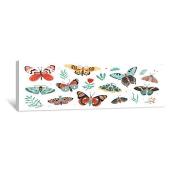 Image of Collection Of Elegant Exotic Butterflies And Moths Isolated On White Background  Set Of Tropical Flying Insects With Colorful Wings  Bundle Of Decorative Design Elements  Flat Vector Illustration Canvas Print
