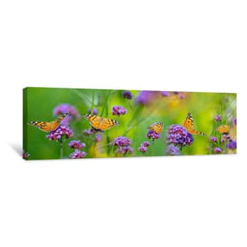 Image of The Panoramic View The Garden Flowers And Butterflies Vanessa Cardui Canvas Print
