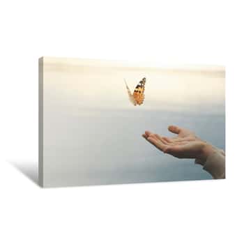 Image of Butterfly Flies Free From A Woman\'s Hand Canvas Print