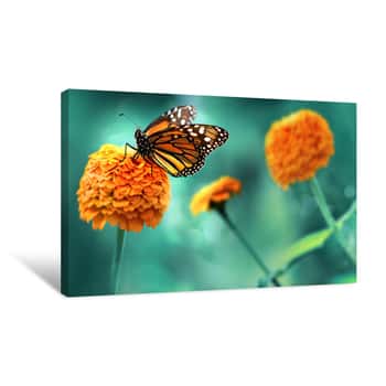 Image of Monarch Orange Butterfly And  Bright Summer Flowers On A Background Of Blue Foliage In A Fairy Garden  Macro Artistic Image Canvas Print