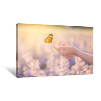 Image of The Girl Frees The Butterfly From The Jar, Golden Blue Moment Concept Of Freedom Canvas Print