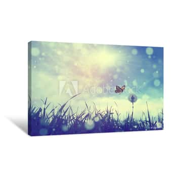 Image of Butterfly And Dandelion Canvas Print