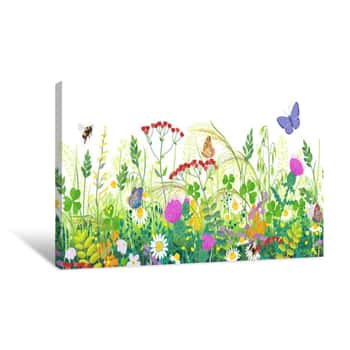 Image of Seamless Border With Summer Meadow Plants  And Insects Canvas Print
