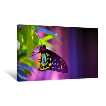 Image of Neon Butterfly Canvas Print