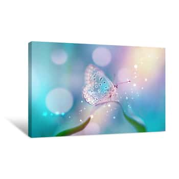 Image of Beautiful White Butterfly On White Flower Buds On A Soft Blurred Blue Background Spring Or Summer In Nature  Gentle Romantic Dreamy Artistic Image, Beautiful Round Bokeh Canvas Print