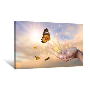 Image of A Butterfly Leans On A Hand Among The Golden Light Flower Fields In The Evening Canvas Print