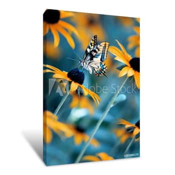 Image of Tropical Bright Butterfly On An Orange Flower In A Summer Magic Garden  Summer Natural Artistic Image Canvas Print