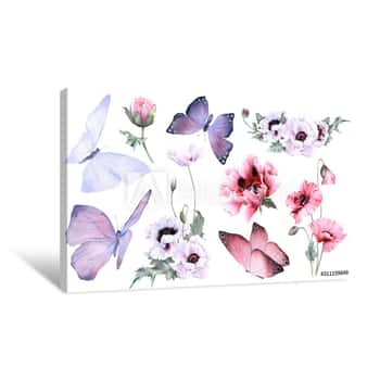 Image of A Picturesque Set Of Butterflies, Poppy Flowers, Buds And Poppies Arrangements Hand Drawn In Watercolor Isolated On A White Background  Botanical Illustration  Floral Watercolor Elements Canvas Print