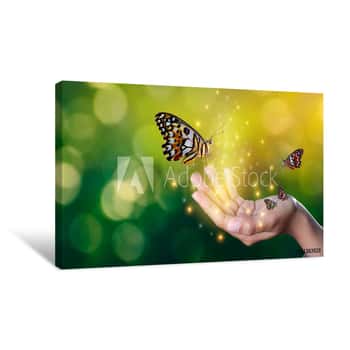Image of Butterflies Are In The Hands Of Girls With Glittering Lights Sweet Encounter Between A Human Hand Butterfly Canvas Print
