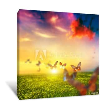 Image of Colorful Butterflies Flying Over Spring Meadow With Flowers Canvas Print