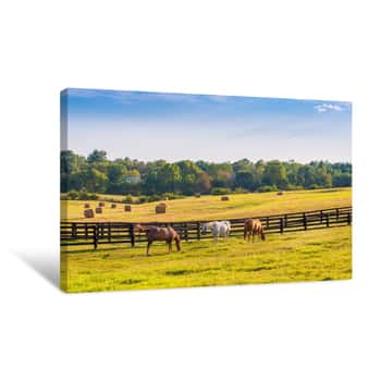 Image of Horses At Horse Farm  Country Summer Landscape Canvas Print