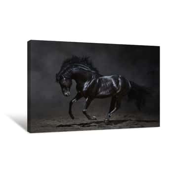 Image of Galloping Black Horse On Dark Background Canvas Print