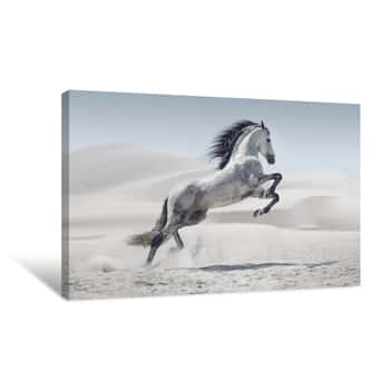 Image of Picture Presenting The Galloping White Horse Canvas Print
