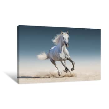 Image of White Horse Run Gallop Canvas Print