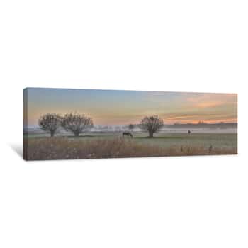Image of Pollard Willows And Horses Sunrise Canvas Print