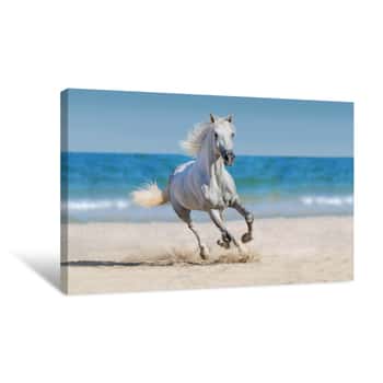 Image of Horse Run Against The Ocean Canvas Print