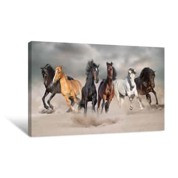 Image of Horses Run Gallop Free In Desert Dust Against Storm Sky Canvas Print