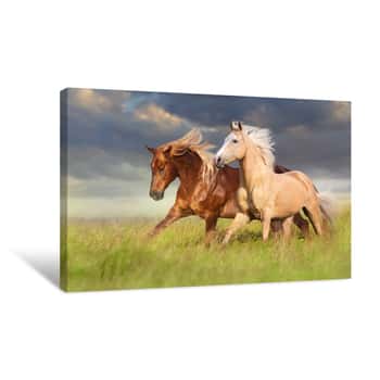 Image of Red And Palomino Horse With Long Blond Mane In Motion On Field Canvas Print