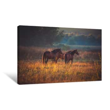 Image of Horse Canvas Print
