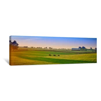 Image of Thoroughbred Horses Grazing At Sunset Canvas Print