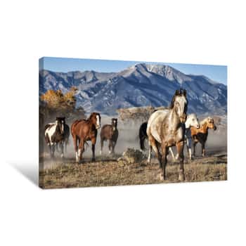 Image of A Leader Of Running Horses With Mountain Backdrop Canvas Print