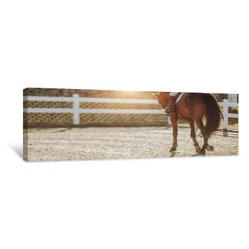 Image of Horse Riding In Sunset Canvas Print