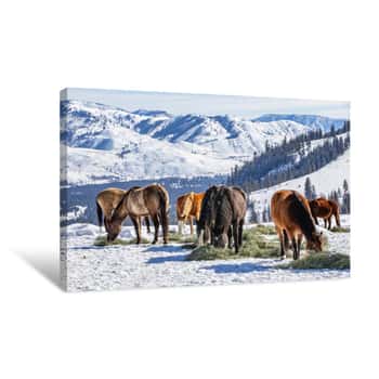 Image of Winter At The Horse Ranch In The Mountains Of Eastern Washington State Canvas Print