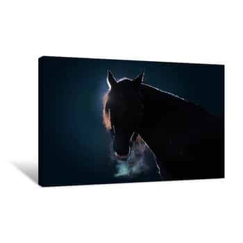 Image of Adult Horse Against A Dark Background Canvas Print