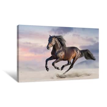 Image of Bay Horse Run Gallop In Desert Sand Canvas Print