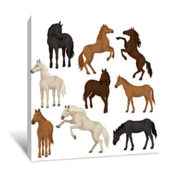 Image of Flat Vector Set Of Brown, Beige And Black Horses In Different Poses  Big Mammal Animals With Hoofs, Flowing Mane And Tail Canvas Print