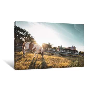 Image of Bicolor Horse Next To The Train Station Canvas Print