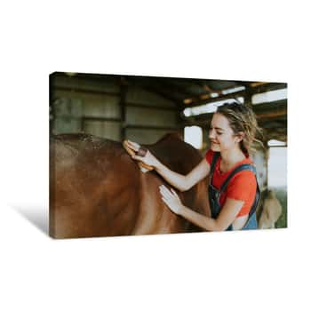 Image of Girl Brushing A Chestnut Horse Canvas Print