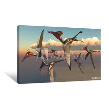 Image of Pterodactylus Pterosaurs In Flight - A Flock Of Pterodactylus Pterosaurs Fly Out To The Ocean To Hunt For Fish In The Jurassic Period Canvas Print