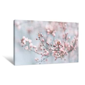 Image of Closeup Of Spring Pastel Blooming Flower In Orchard  Macro Cherry Blossom Tree Branch Canvas Print